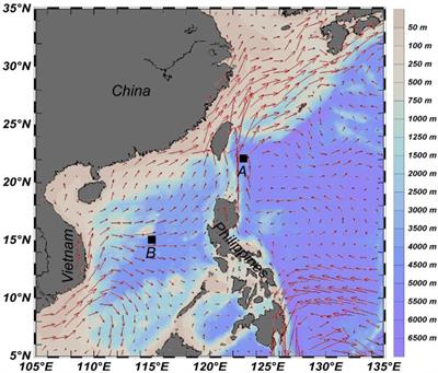 Active Carbon Flux of Mesozooplankton in South China Sea and Western Philippine Sea